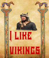 I like vikings