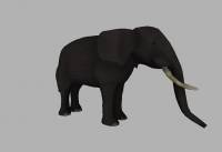 OSP Elephant